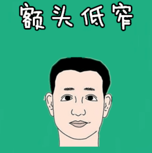 图片[4]-面相俗语说：男人眉毛少，大财发不了；男人额头低，妻子压一头！