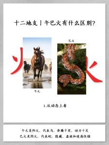 地支“巳午”火的分析-道一卦