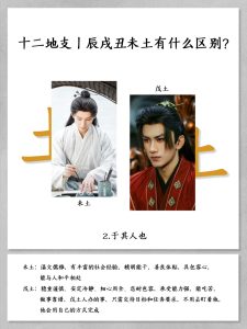 地支“辰戌丑未”土的分析-道一卦