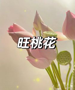 利用八字,教你成功约会,收获爱情!-道一卦