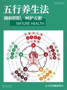 如何根据五行来进行养生？-道一卦
