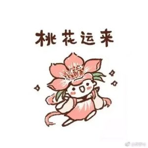 这些风水布局,会导致你难以摆脱单身,看看你中招了没-道一卦