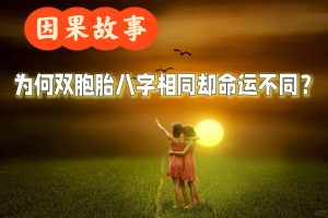 命理如何解释即使是双生子，也差异大的问题？-道一卦