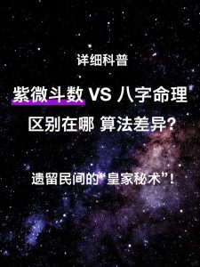 四柱八字和紫微斗数有什么区别?-道一卦