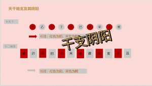 如何判断干支的阴阳属性?-道一卦